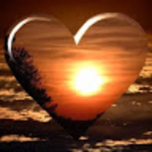 Meet your Posher, Cheyenne